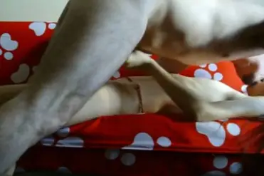 ABG Bispak Beraksi di Hotel Mewah Mempesona